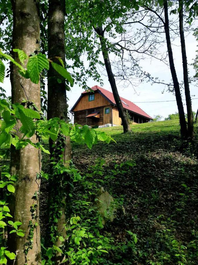 Bakina Iza Villa Дуга Реса Екстериор снимка